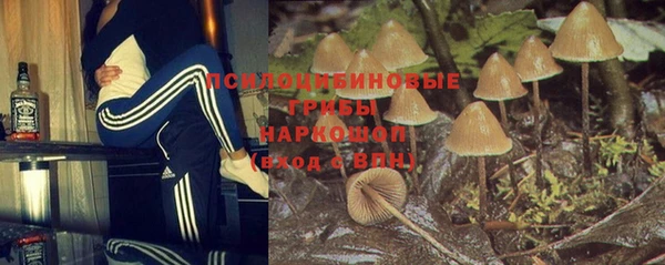 2c-b Алексин