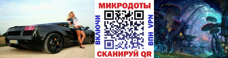 купить закладку  Сосновый Бор  Псилоцибиновые грибы Psilocybe 